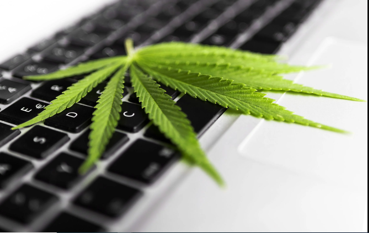Marijuana in the Workplace – OHS Insider